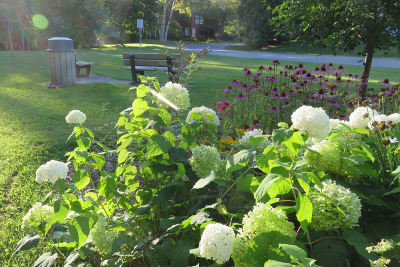 Aire de d&eacute;tente rue de la Cav&eacute;e Saint-Ferr&eacute;ol-les-Neiges