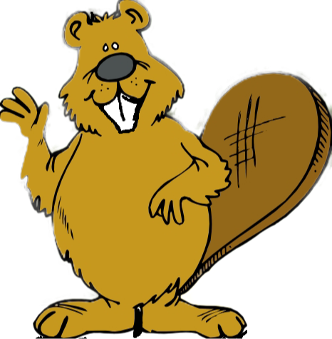 Logo L'Association des propriétaires du Domaine du lac des Trois-Castors Inc.